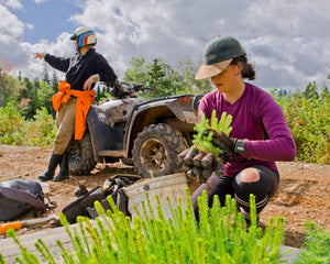 Tree planter volunteer sorting saplings in Canada