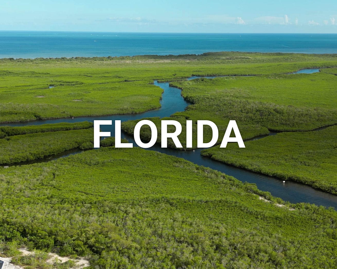 Florida landscape