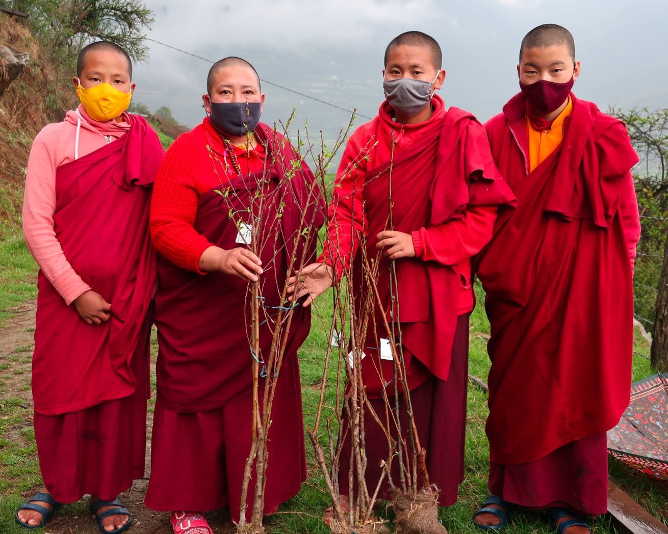 group of people planting in bhutan
