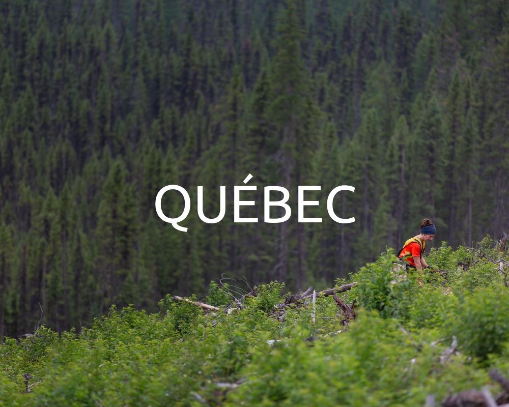 Plant Trees in Quebec - One Tree Planted