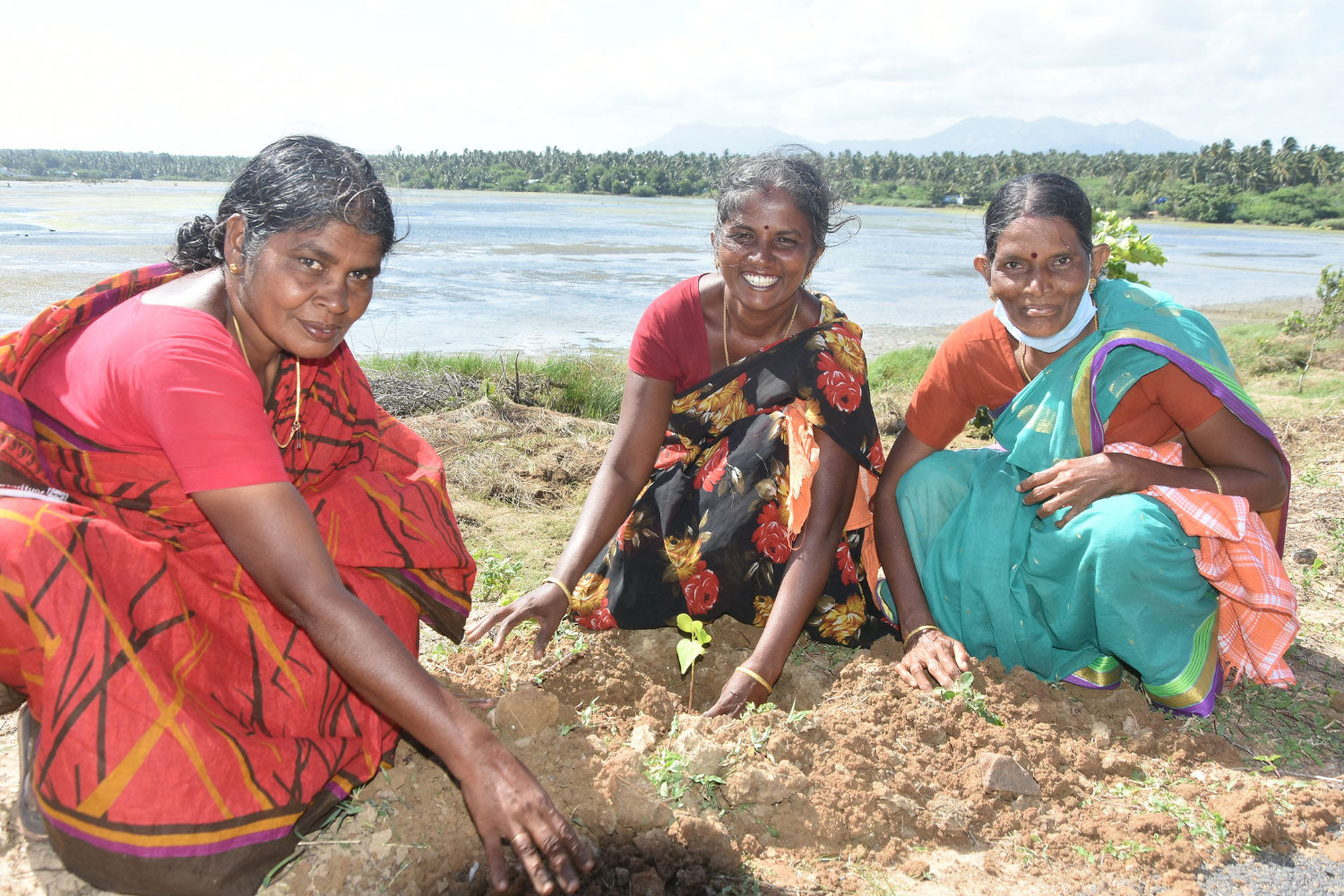 Women planting trees in India