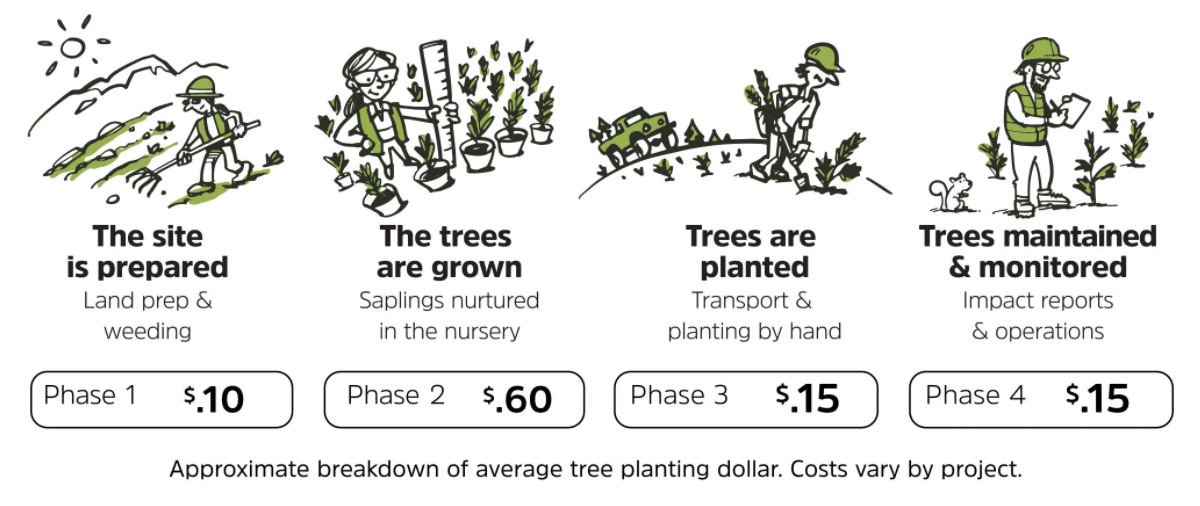 How much does it cost to plant a tree